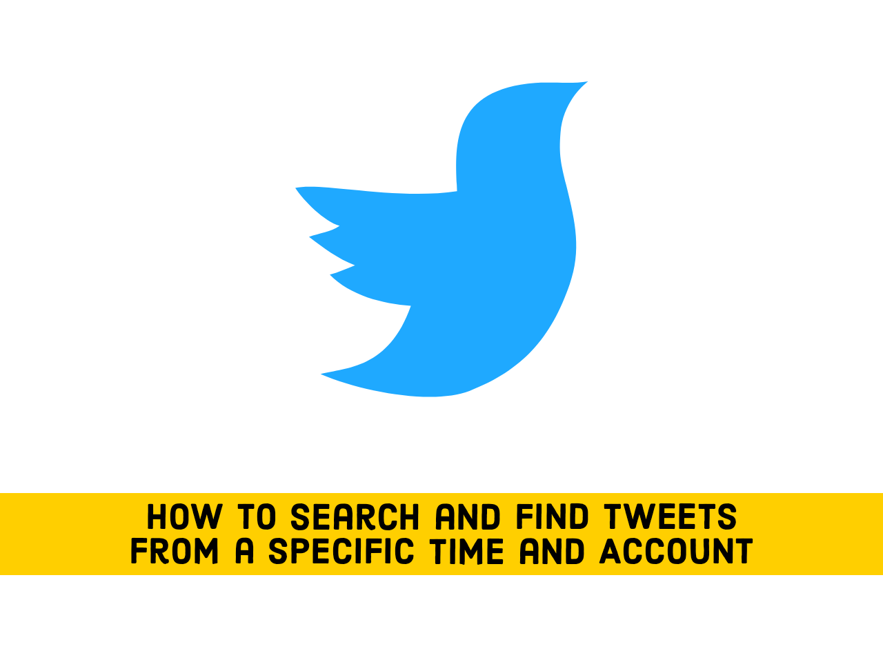 search tweets by date