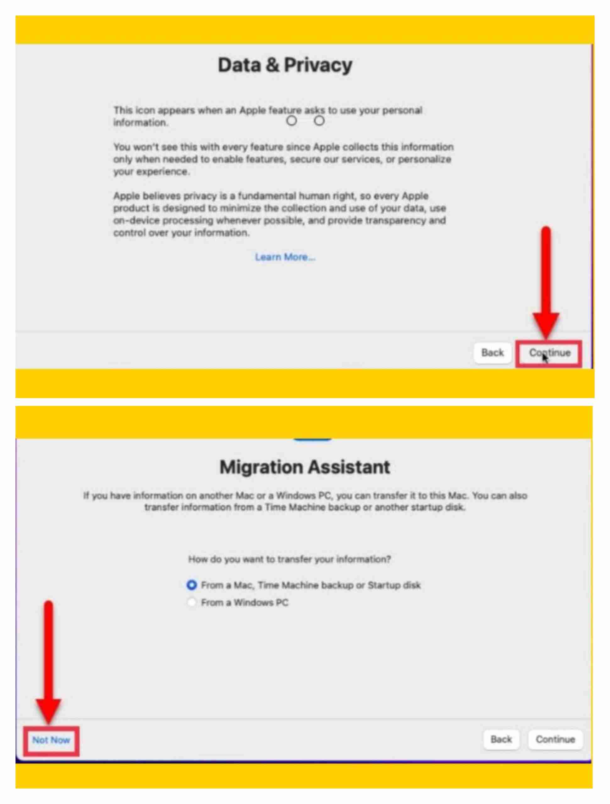 Data & Privacy and Migration Assistant