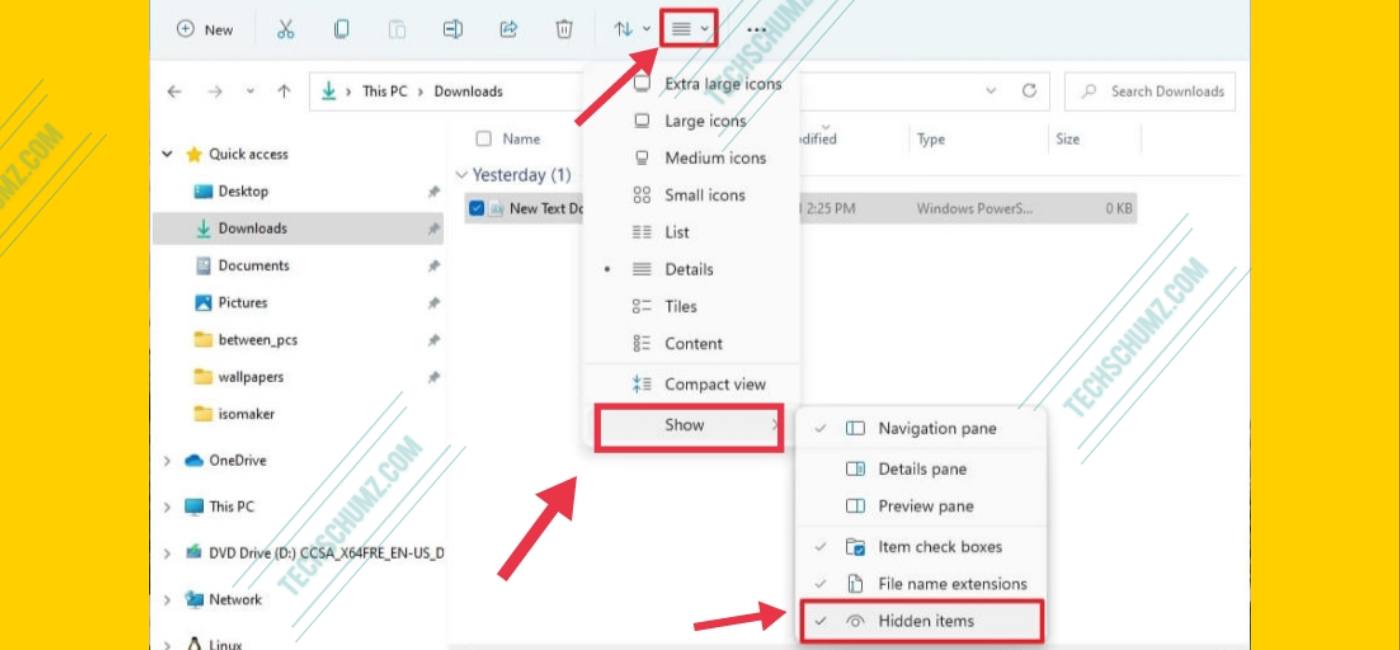 View Hidden Files on Windows 11 using Layout and view options