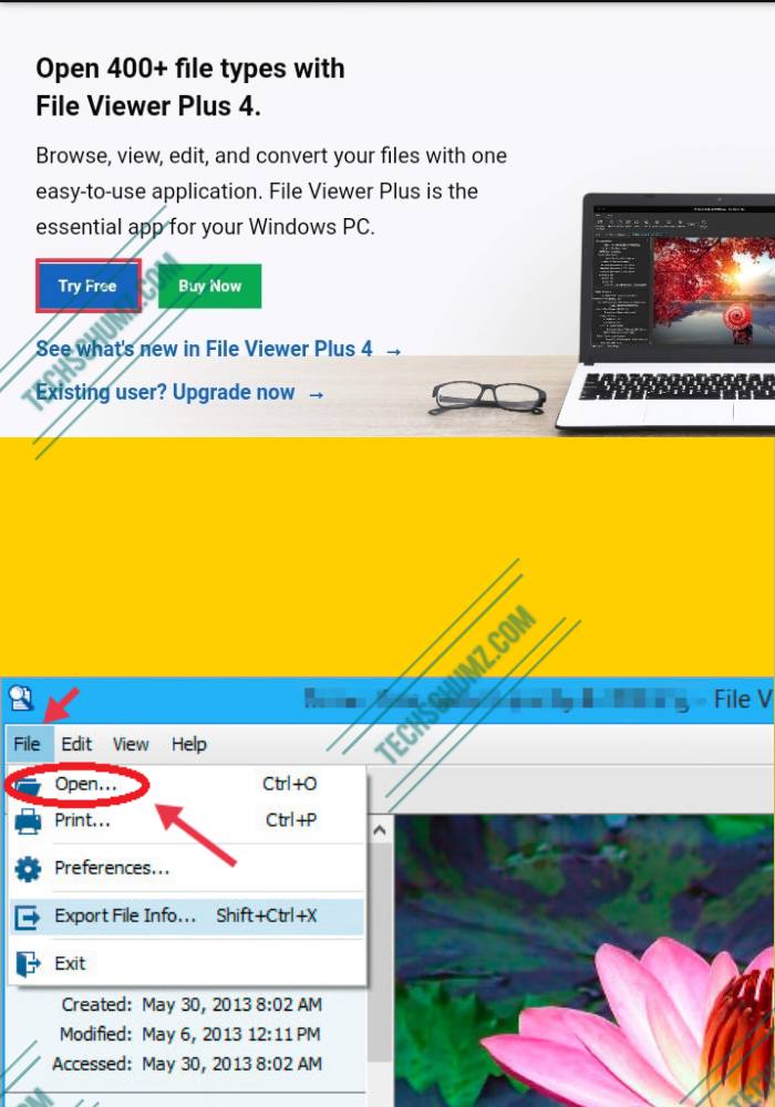 Open HEIC files via File Viewer Plus on Windows 11
