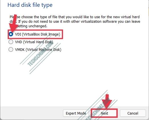 Hard Disk File Type for virtual machine