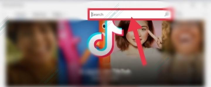 Search for TikTok