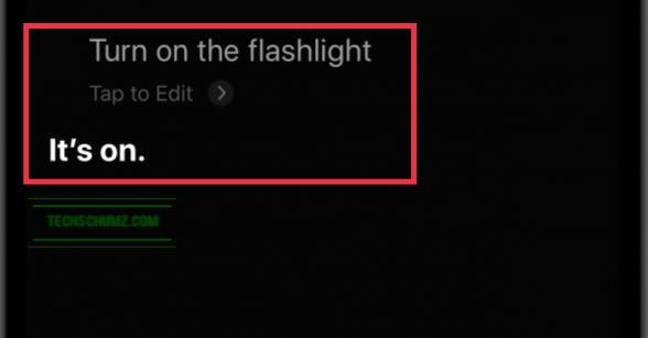 Turn on the flashlight - Siri