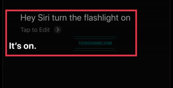 On your iPhone 13 - Ask Siri to Turn on the flashlight