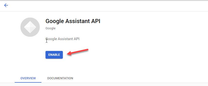 Eanble Google Assistant API