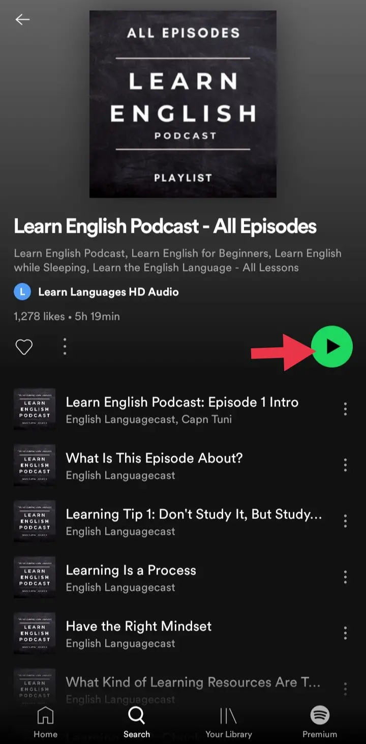Listen to the playlist and Learn a New Language Using Spotify