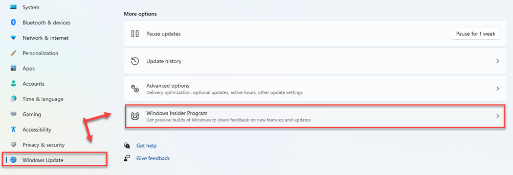 Go to Windows Update, then select Windows Insider Program