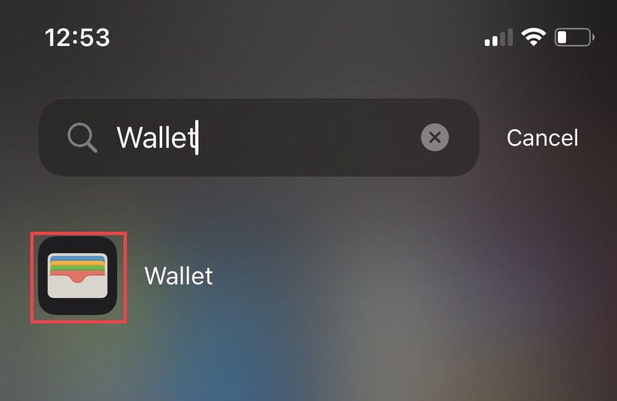 img 3979 1 How To Get Apple Wallet Back on Your iPhone Home Screen