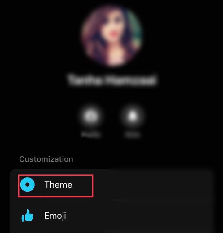Click on the “Themes” to get access to different kinds of themes