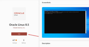 How To Install Oracle Linux On Your Windows 11 PC | Techschumz