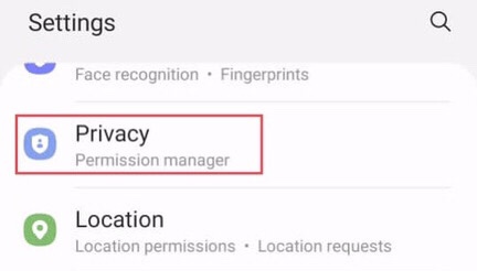 To access the permission manager, scroll down to find the “Privacy.” 
