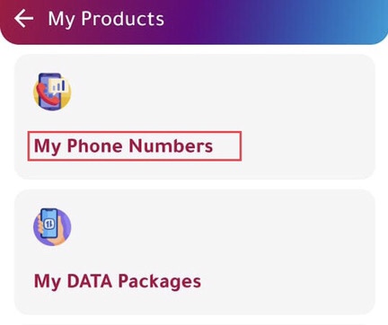 Now select “My Phone Numbers.”