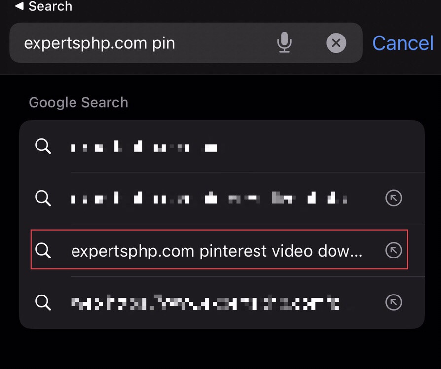 Search for the “Experts PHP Pinterest video downloader” in the web browser, then tap on it.