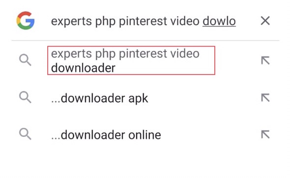 Search for the “ExpertsPHP Pinterest video downloader” in the web browser, then open the website.