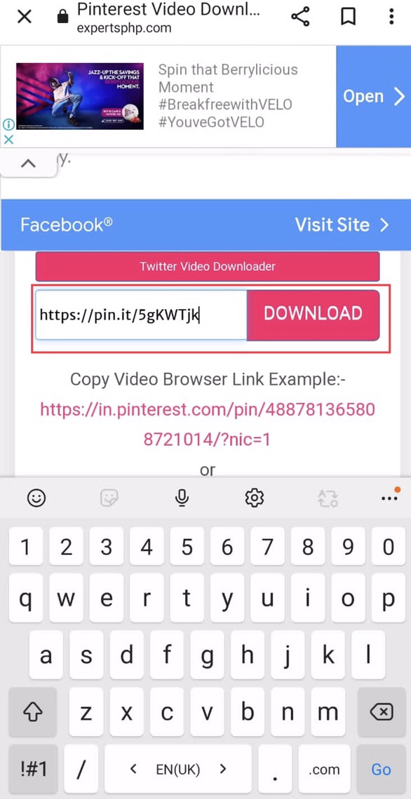 Paste the copied video link from Pinterest, then tap on the “Download” button.