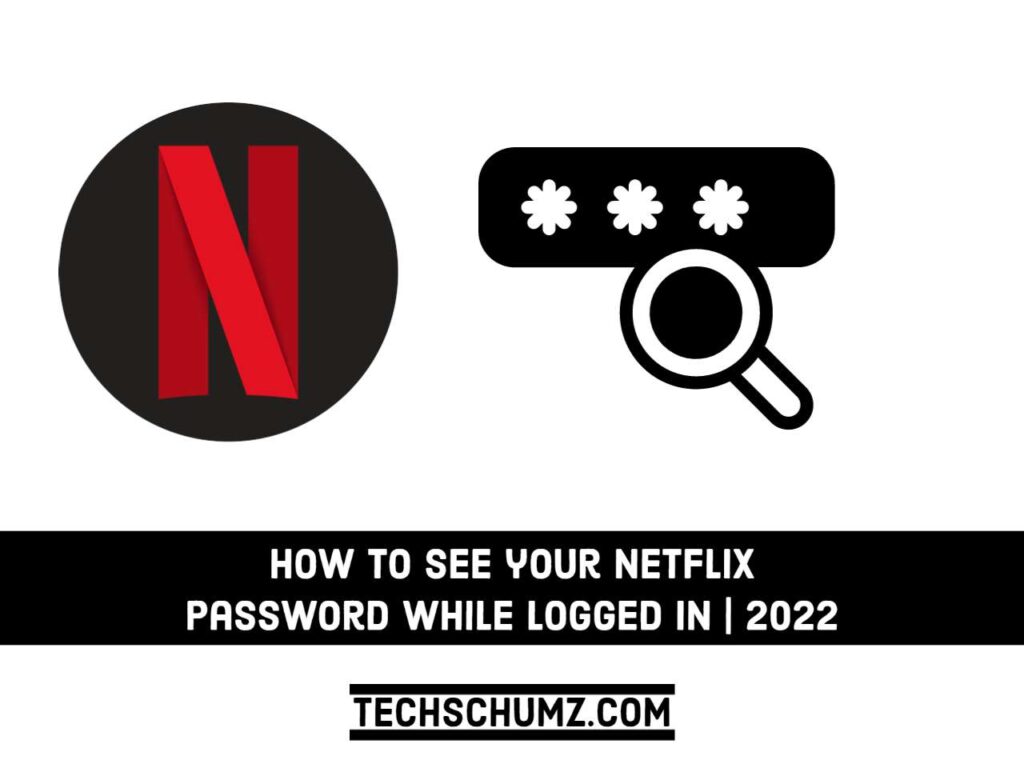 See your Netflix password while logged in