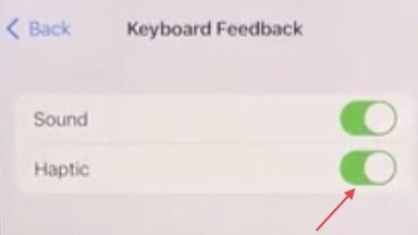 Turn on Haptic make iPhone keyboard vibrate on iOS 16