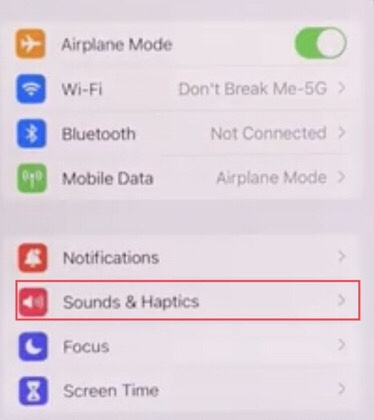 Select the “Sounds and Haptics” option