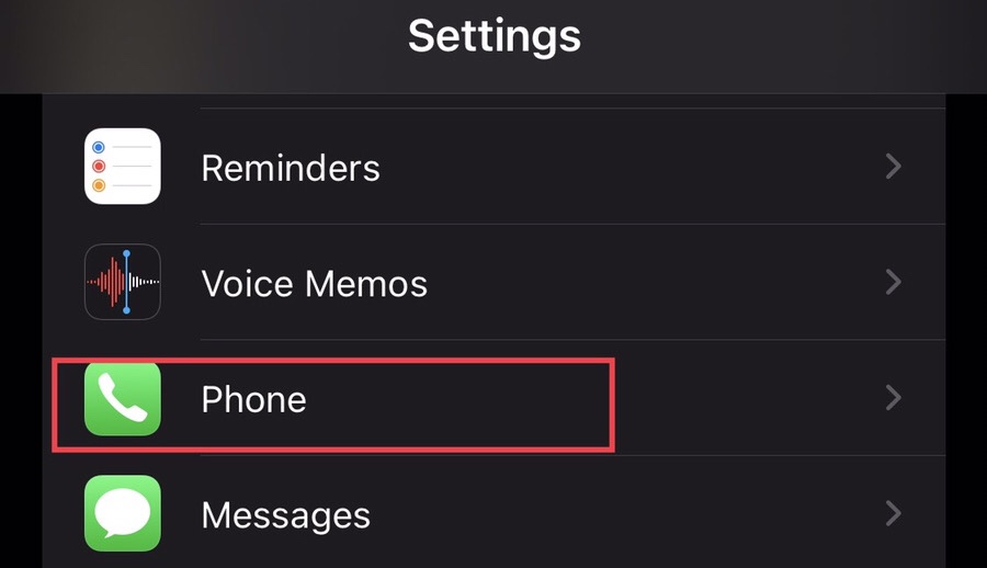 From the settings, tap on “Phone.”