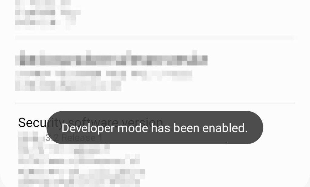 Developer mode has been enabled