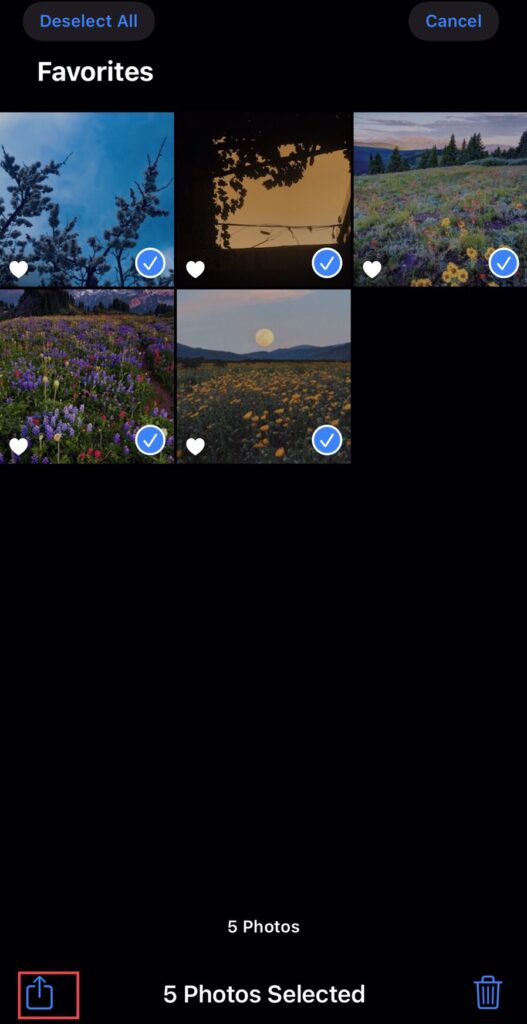 To merge multiple images into a PDF file on iPhone (iOS 16), select the photos from the “Photos” app, then tap on the “Share” icon.