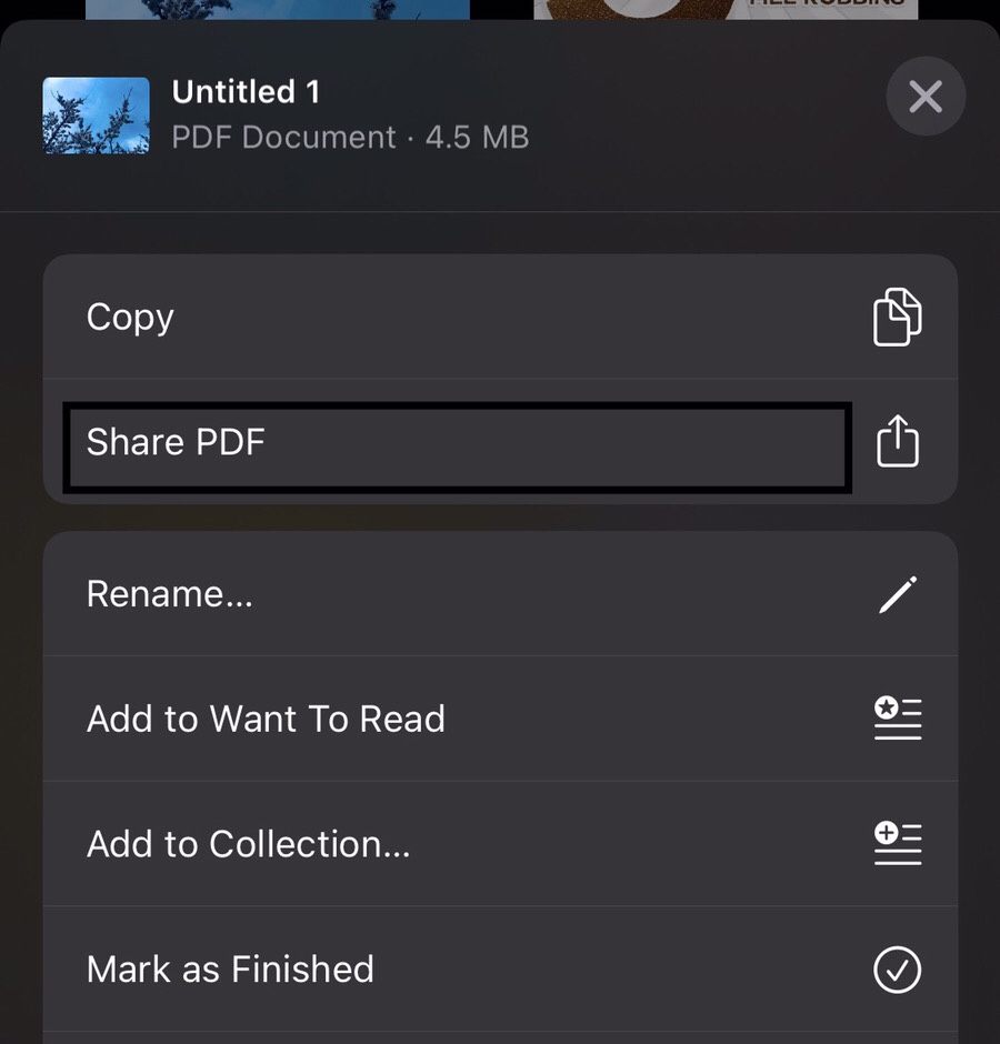 Tap on the “Share PDF” option.