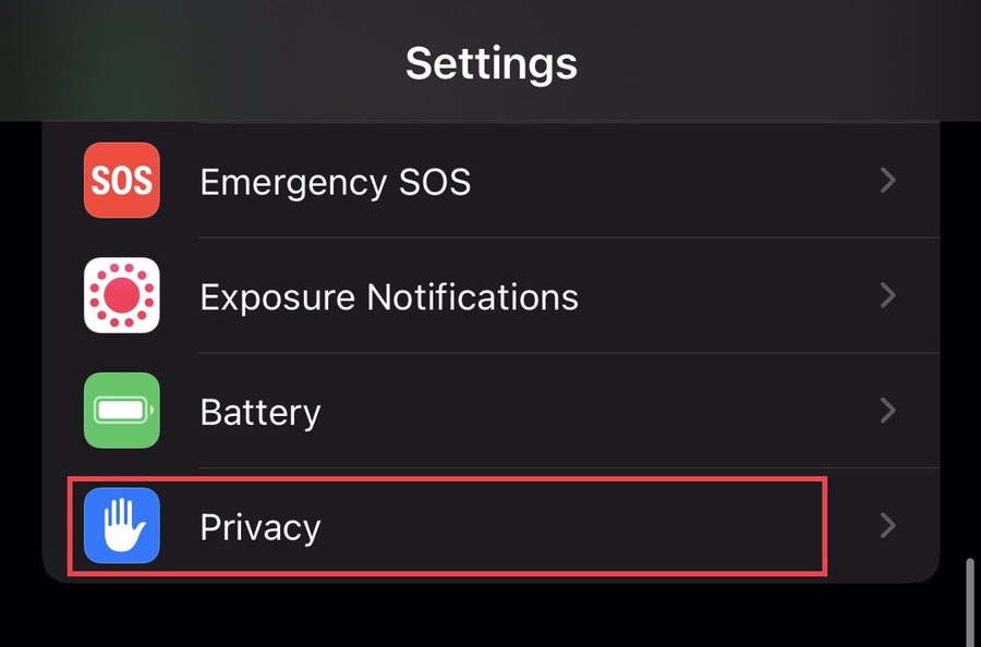 Choose “Privacy” from the settings menu.