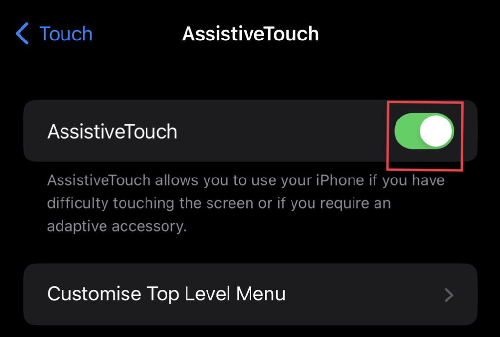 Now turn on "Assistive Touch."