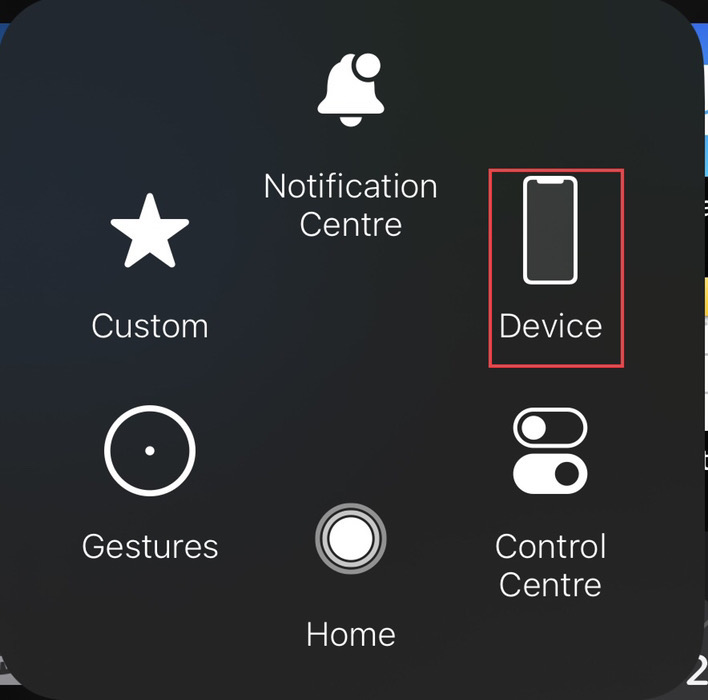 Now select "Device" from the home button menu.