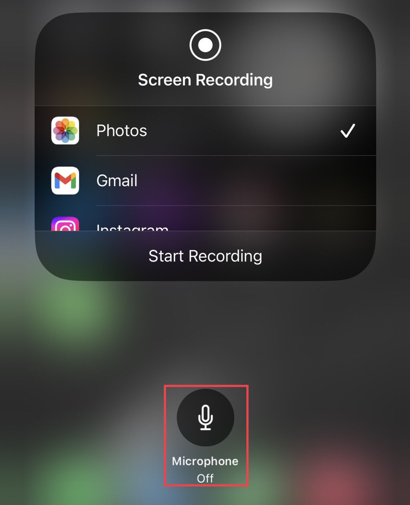 Turn on "Microphone" to record audio.