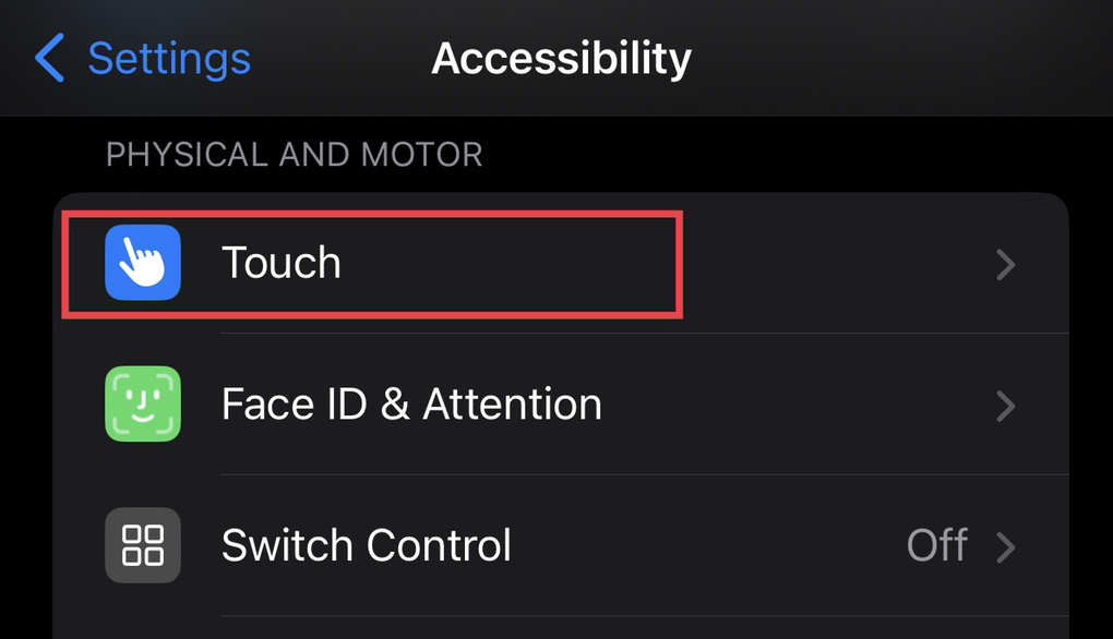 Tap on the "Touch" option.