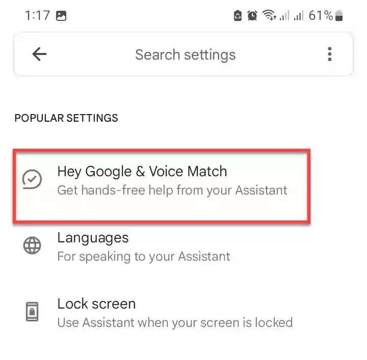 Tap on Hey Google & Voice Match
