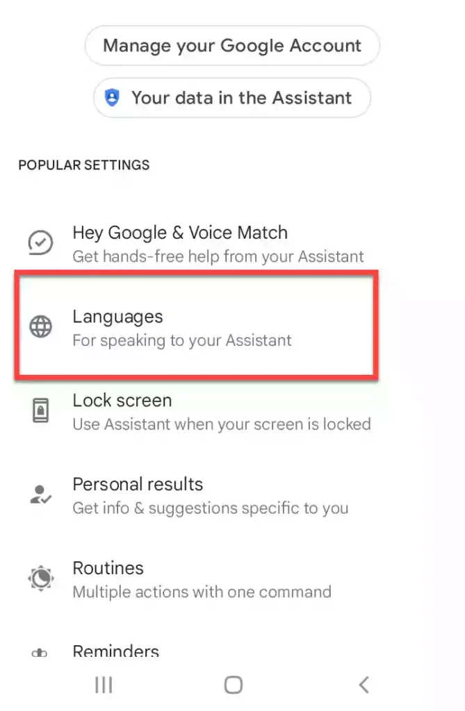 Select Languages from Google Assistant settings
