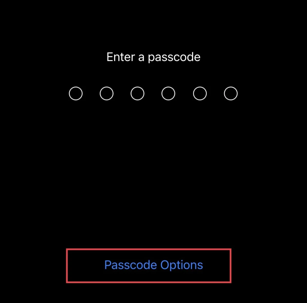 Tap on "Passcode Options"