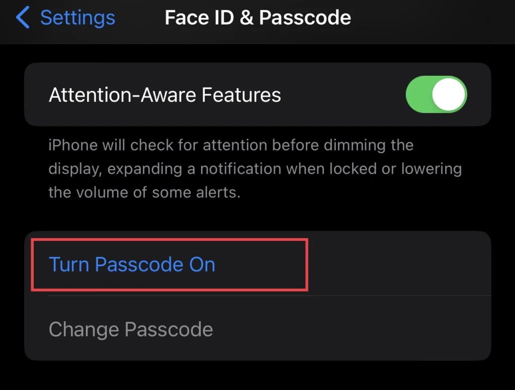 Tap to "Turn on Passcode"