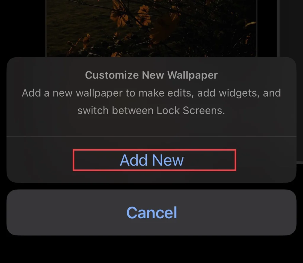 Tap to "Add New" wallpaper.