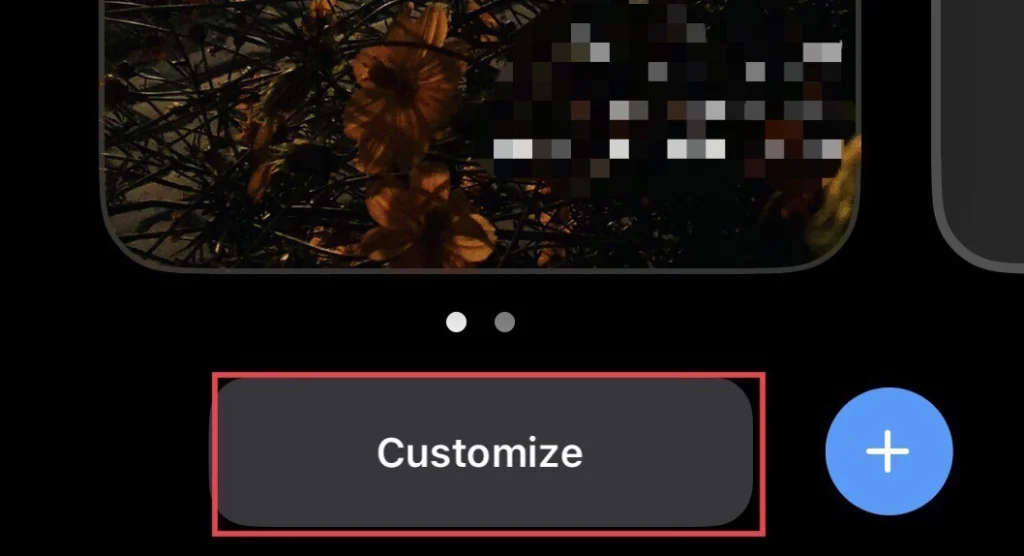 Then tap on the "Customize" button.