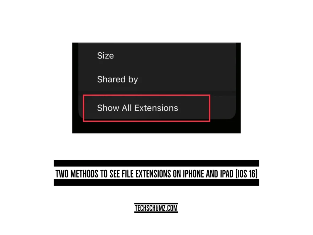 See File Extensions On iPhone and iPad iOS 16 Two Methods To See File Extensions On iPhone And iPad (iOS 16)
