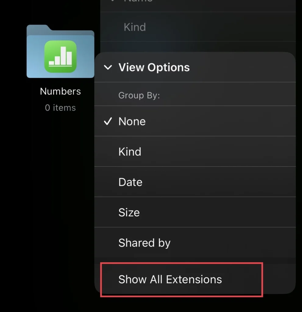 Finally select "Show All Extensions" to see all extensions on iPhone and iPad.