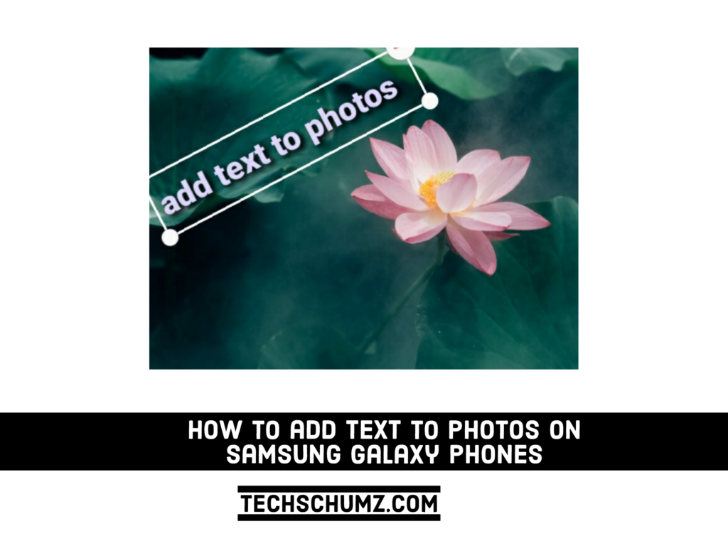 Adobe Express 20221214 1359300 1 How To Add Text To Photos On Samsung Galaxy Phones