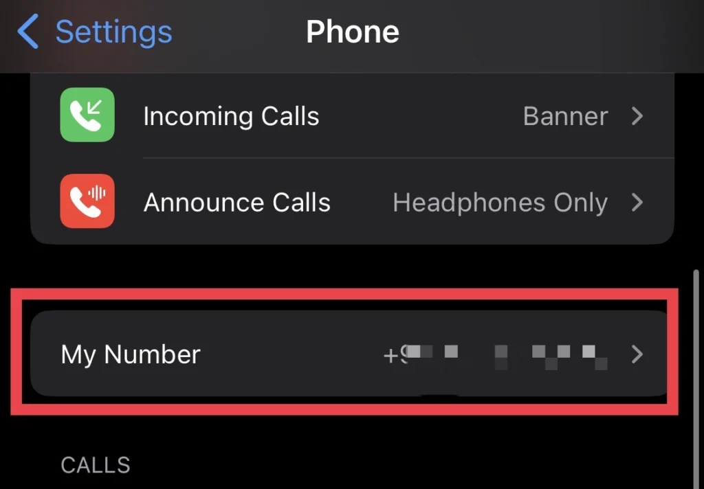 here you have your number beside the "My Number" option.