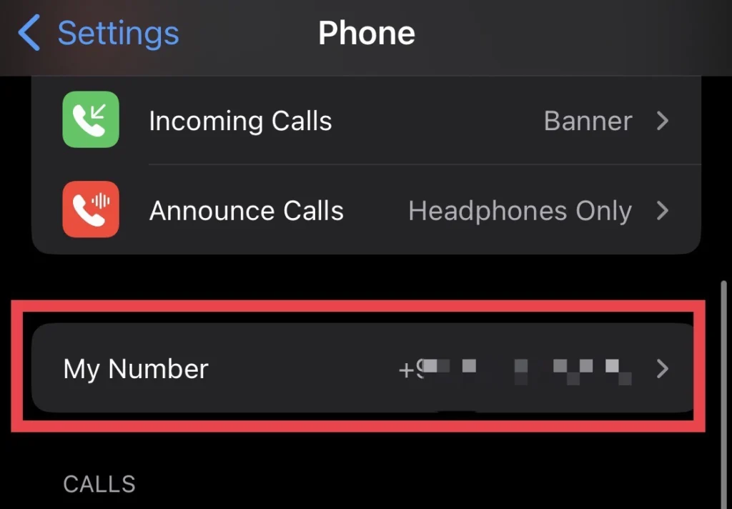 where is my number in iphone settings