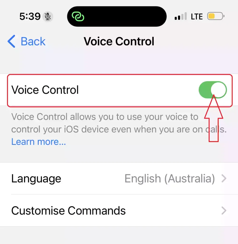 Enable Voice Control