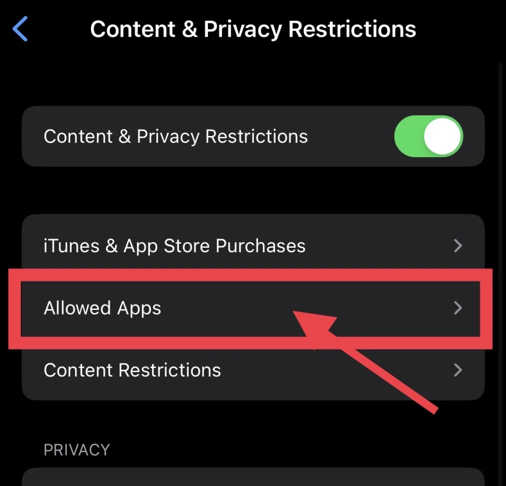 Then tap on "Allowed Apps"