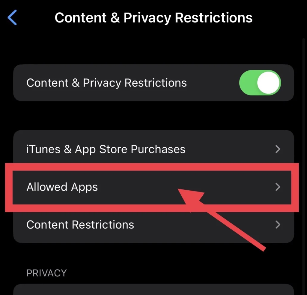 Tap on "Allowed Apps"
