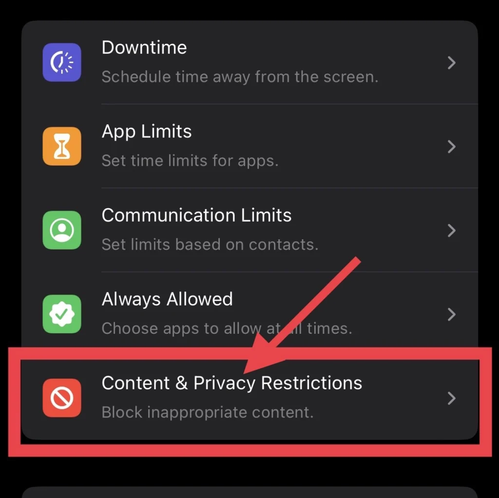 Select "Content & Privacy Restrictions" from the Screen Time menu.