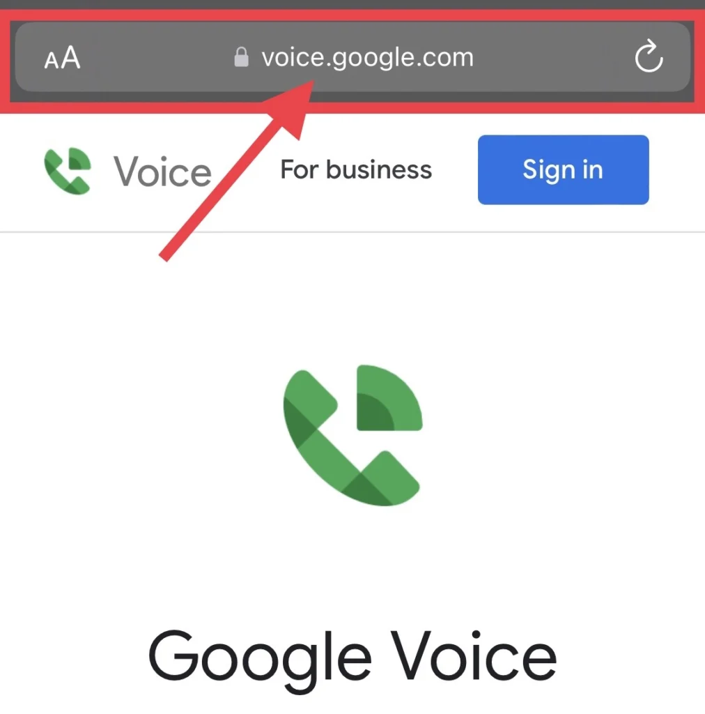 Go to the "Voice.google.com" website.