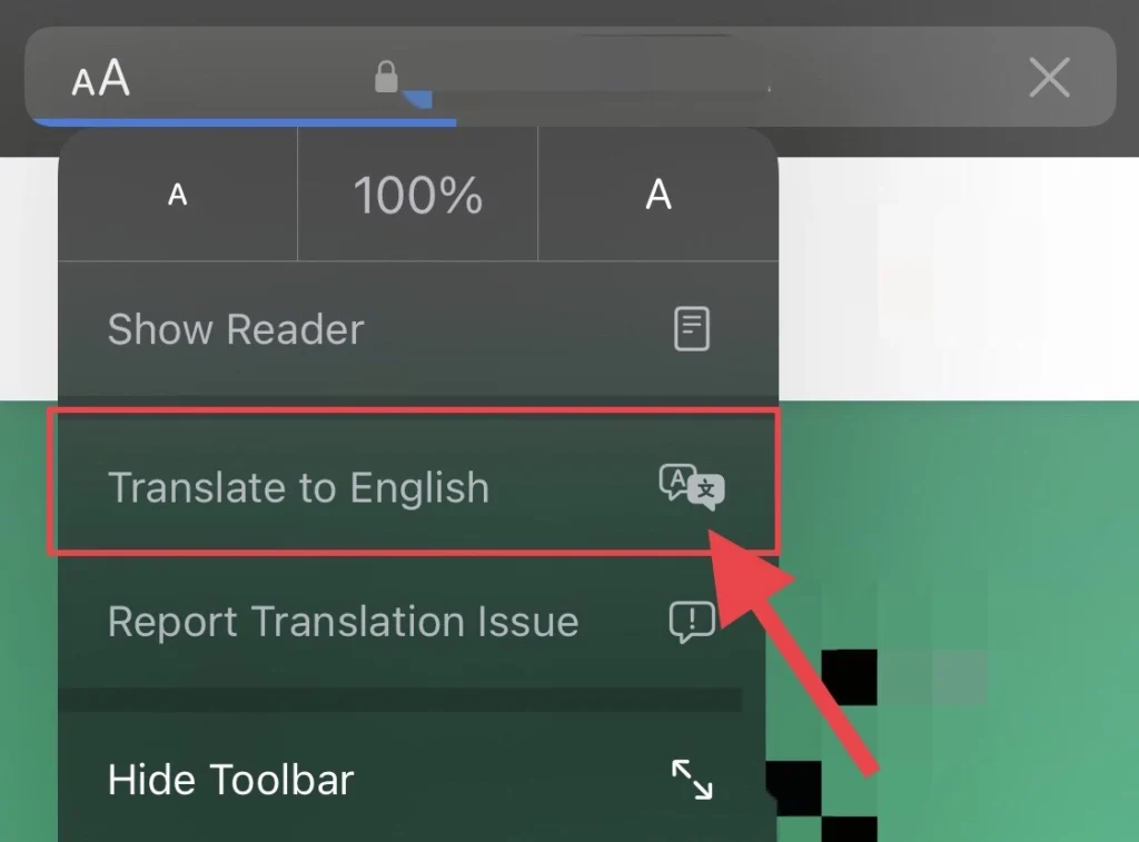 Translate to english iOS 16: How To Translate A Website In Safari On iPhone 14 Pro/Max