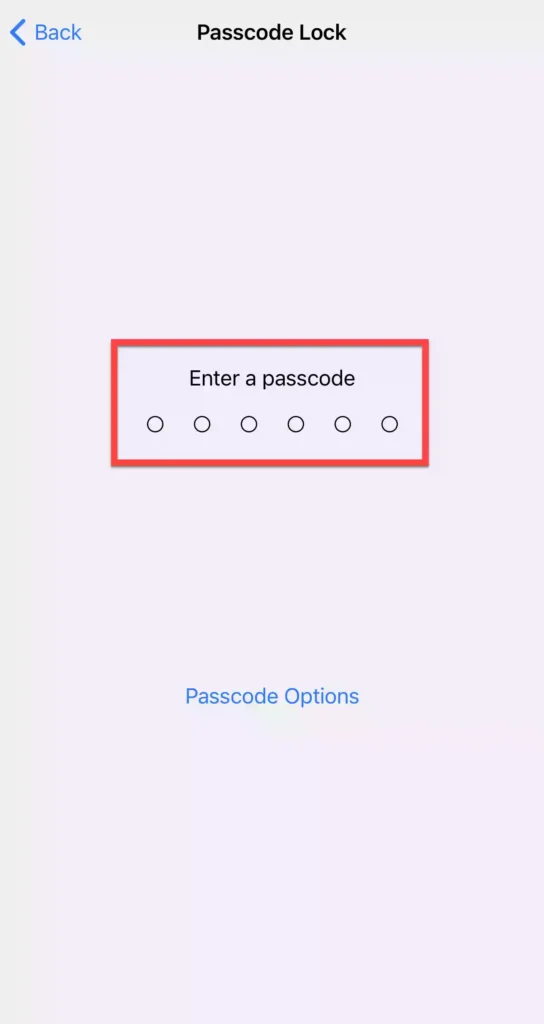 Enter a passcode