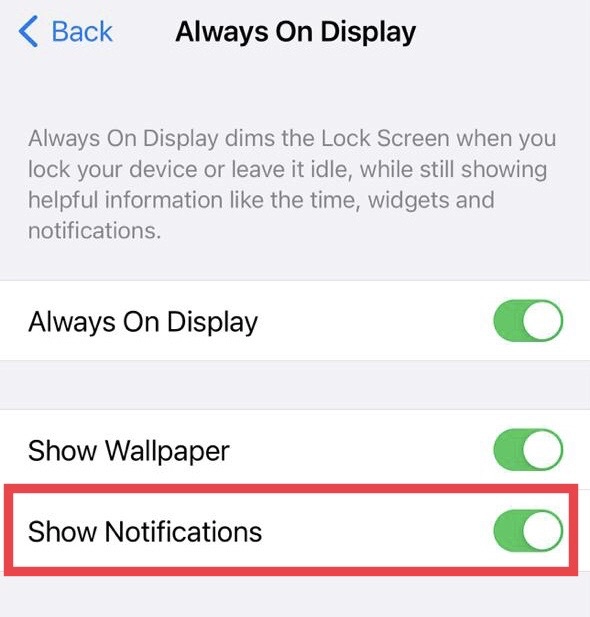 Then tap to turn off the "Show Notifications" option.